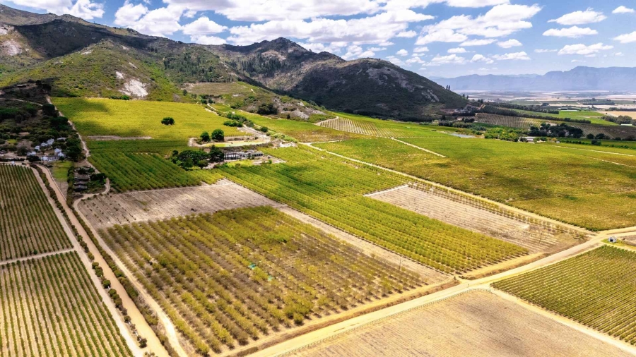 5 Bedroom Property for Sale in Paarl Rural Western Cape